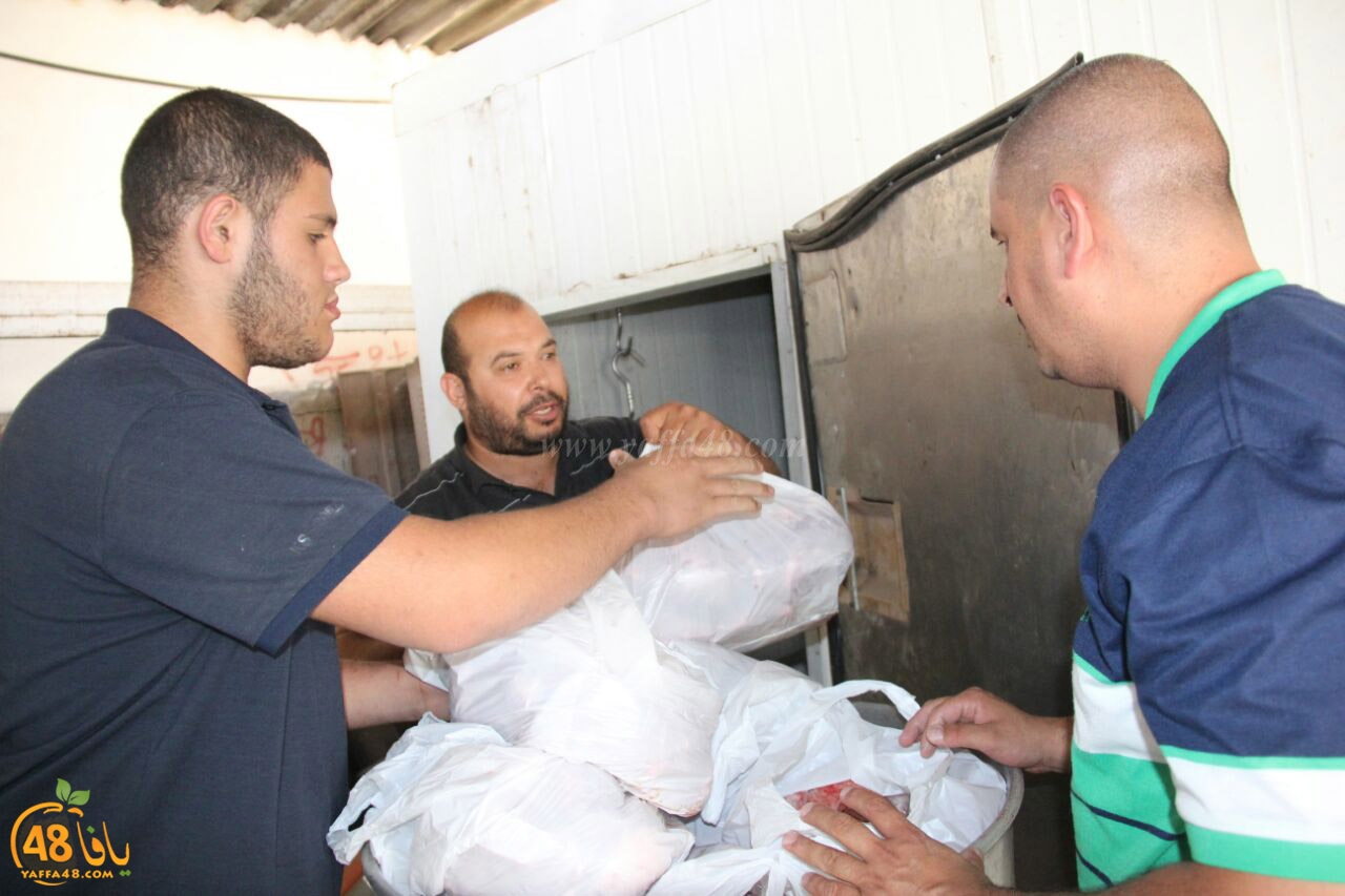 torody second marl7ala (25).jpg